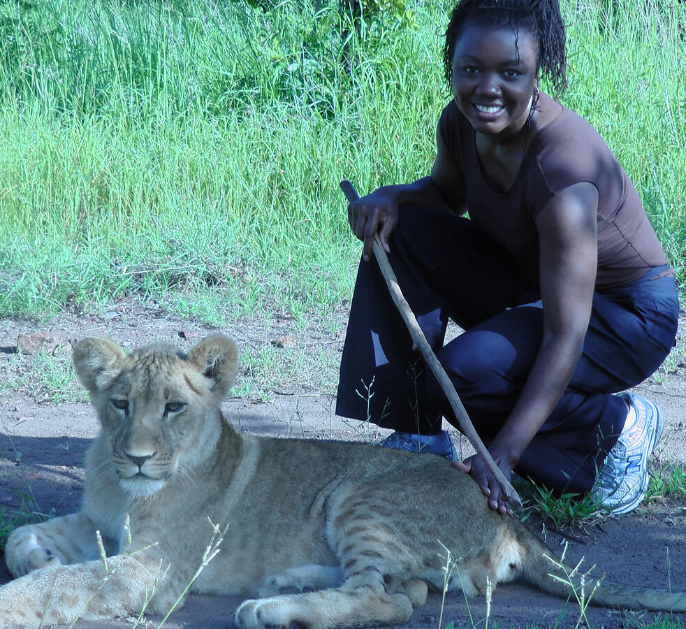 Walking with lions